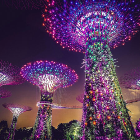 Le jardin du futur