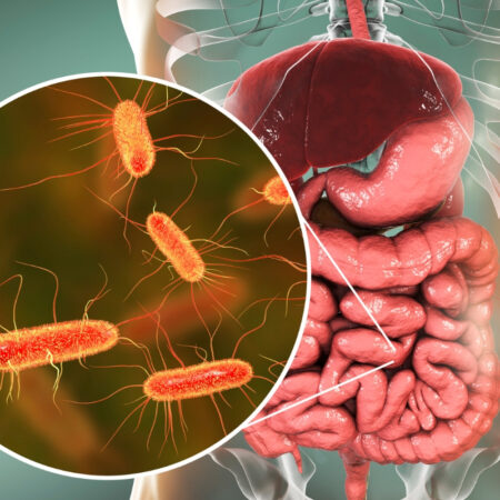 Nourrir son microbiote intestinal : un gage de santé ?