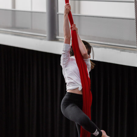 Cirque aérien