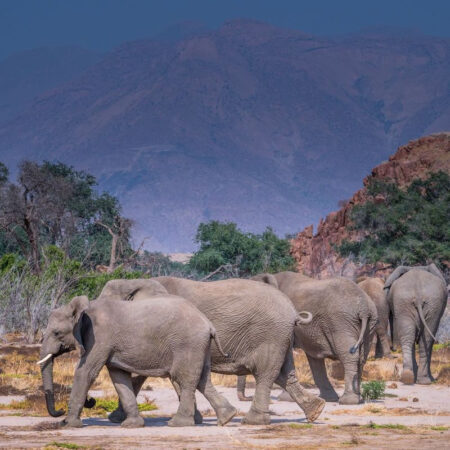 NAMIBIE, exceptionnelle par nature