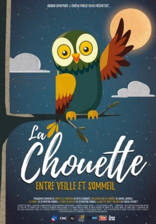 La Chouette entre veille et sommeil