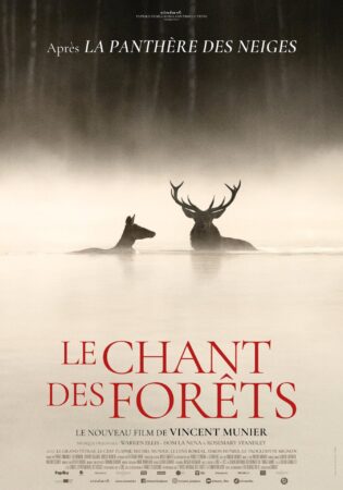 Le Chant des forêts