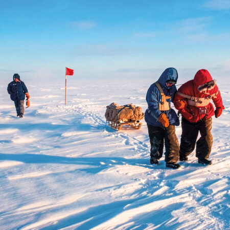Antarctique – Plein Sud
