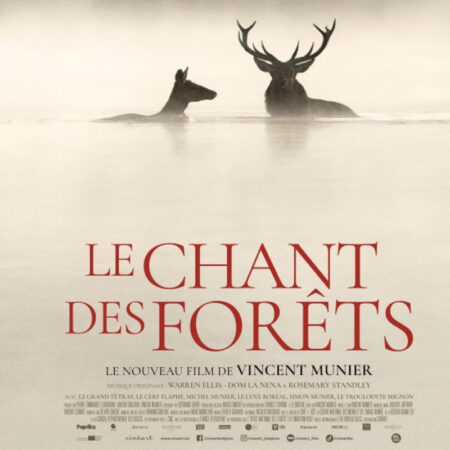 Le Chant des forêts