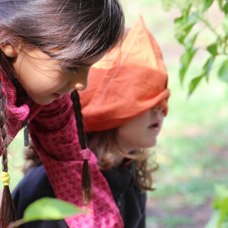 Paysage en couleurs 3-5