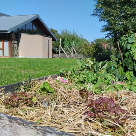 Potager bio collectif inclusif