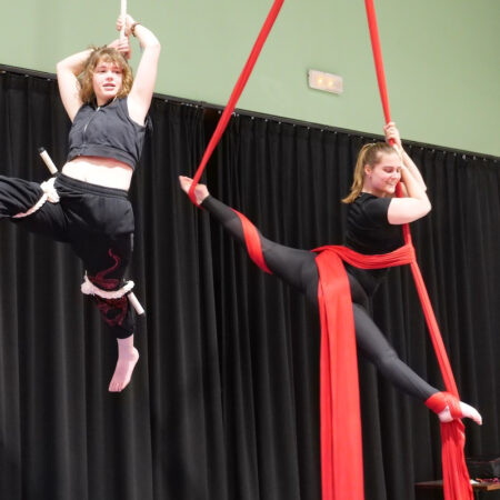 Cirque aérien
