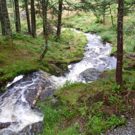 Norvège, à contre courant