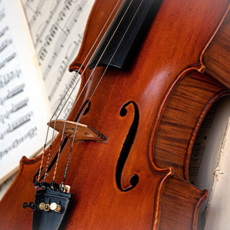 Le violon, un chef-d’œuvre de l’intelligence humaine