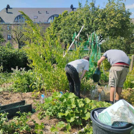 Potager bio collectif inclusif