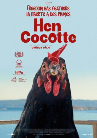 Cocotte